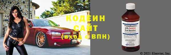 шишки Балахна