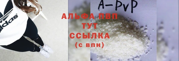 PSILOCYBIN Балабаново