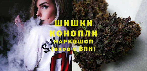 PSILOCYBIN Балабаново